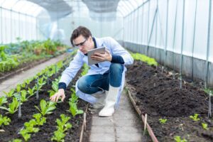 Researcher in agricultural greenhouse